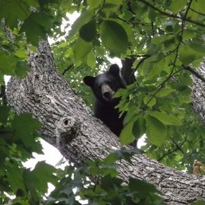 Meet your Posher, Faith